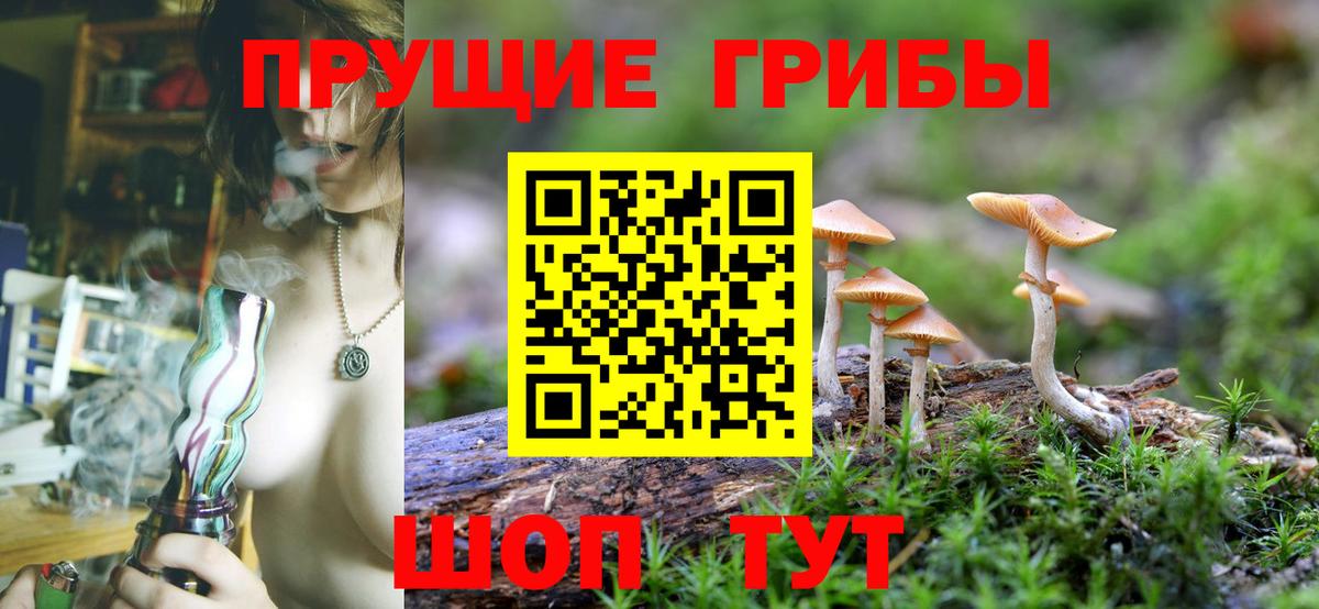 Псилоцибиновые грибы MAGIC MUSHROOMS Волхов